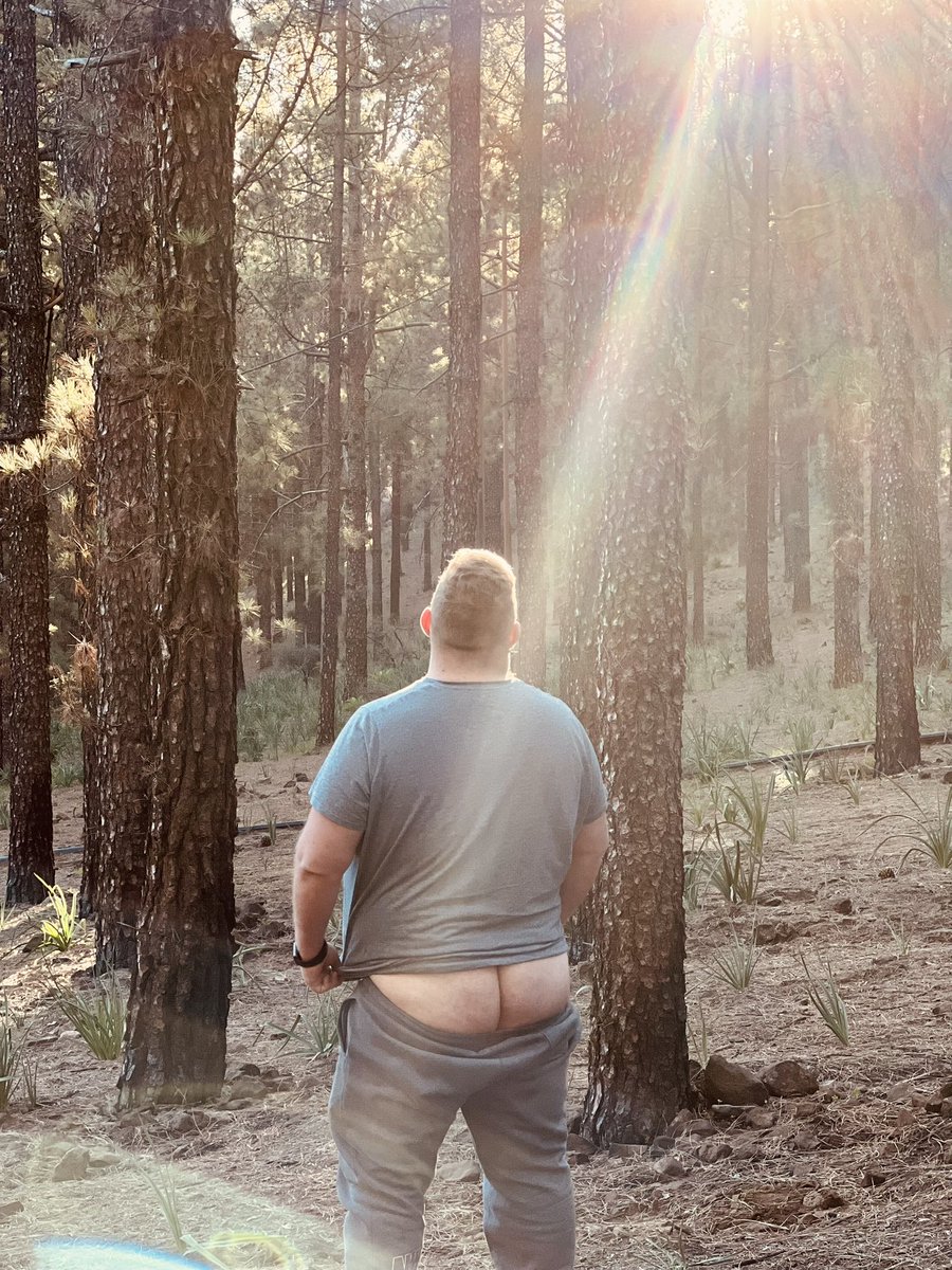 BeefyBear19's tweet photo. https://t.co/y9UyQEWiyI