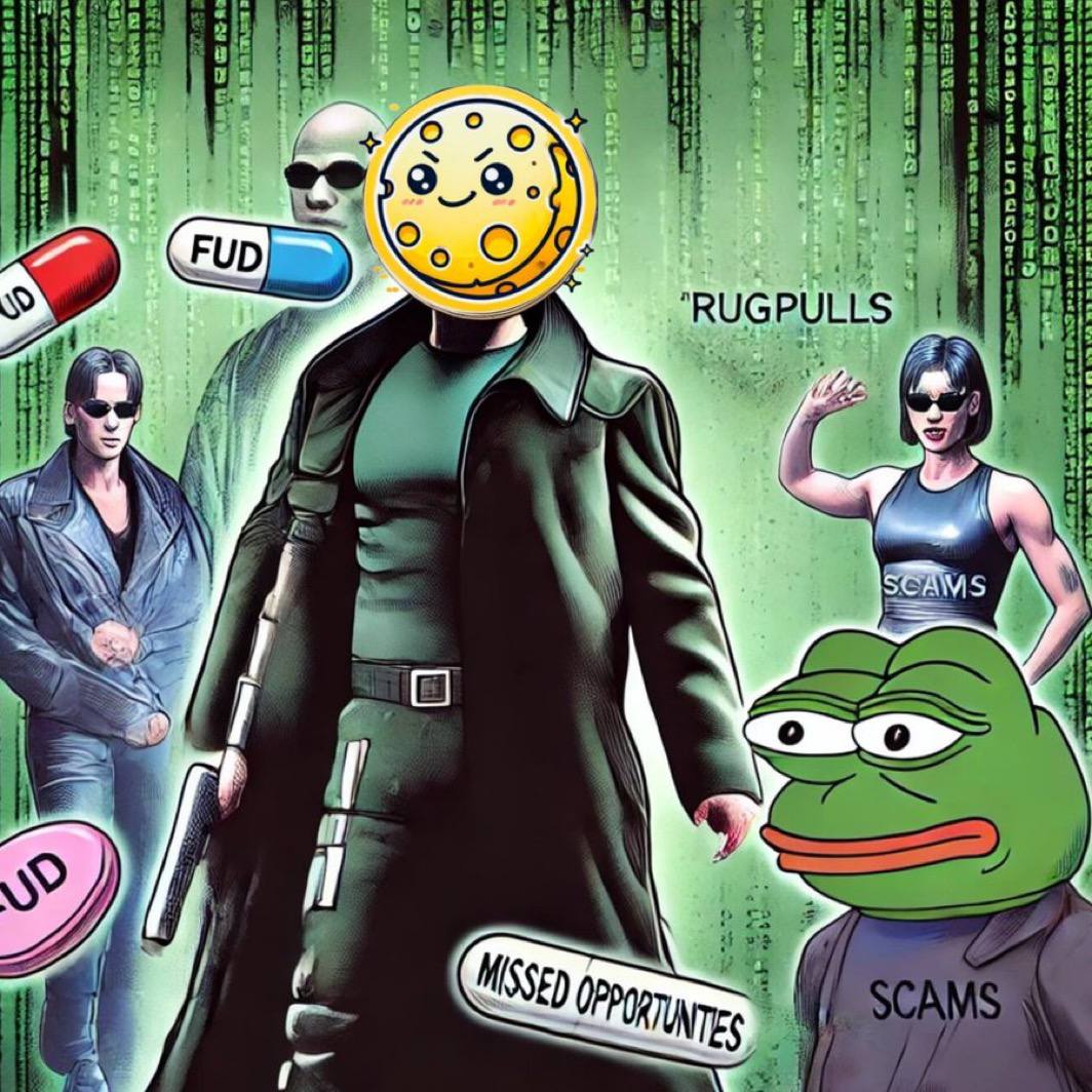 CryptoCam____'s tweet photo. @ApeCryptos I love $queso coin been in it since day one and the team behind it is super committed to the project and teaching people about crypto!! @Queso_Coin #Memecoin #solana #quesocoin #Learn2Earn https://t.co/ObuUO63hej
