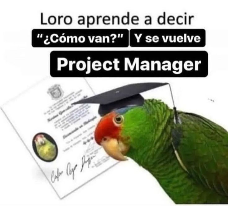 Carlesn tweet media