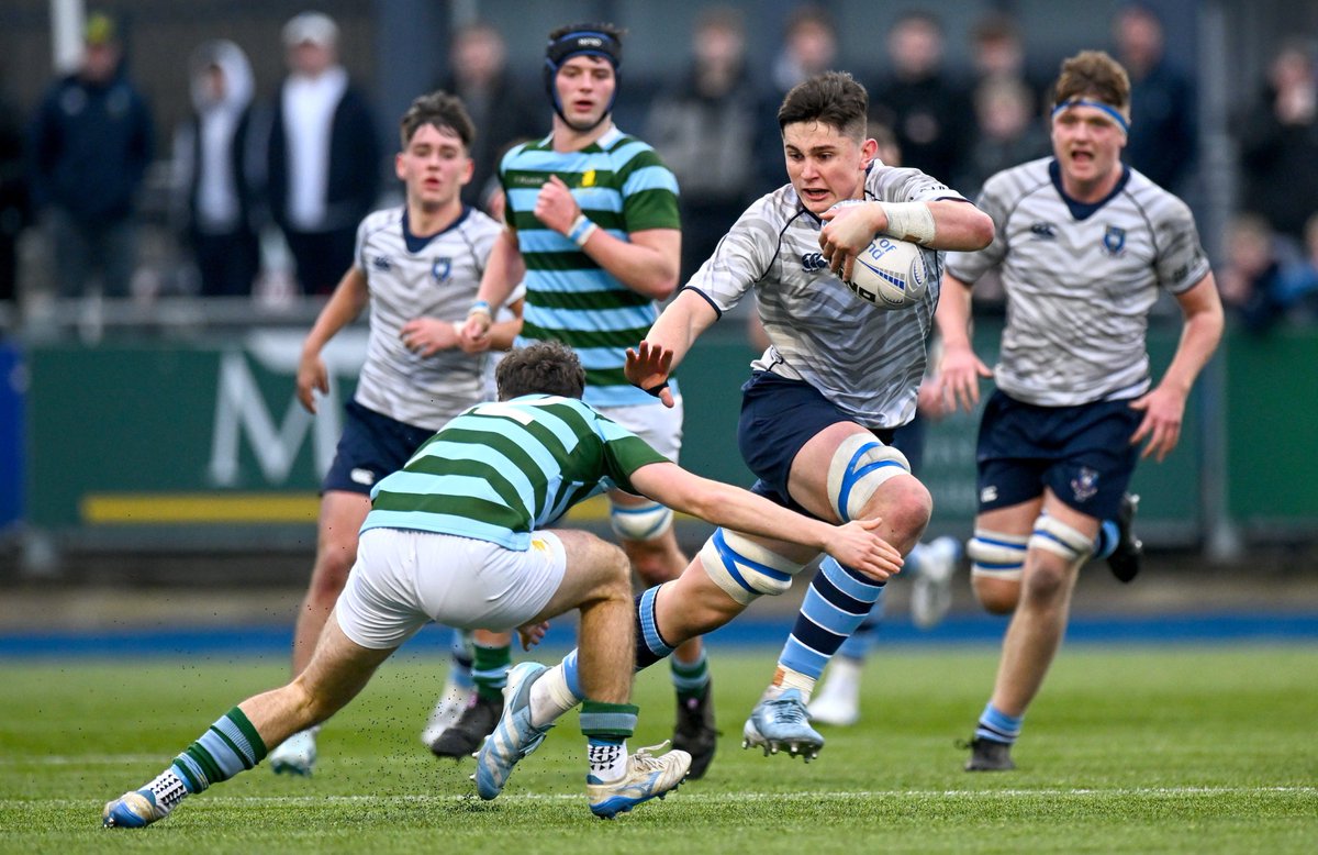 Leinster Domestic tweet media