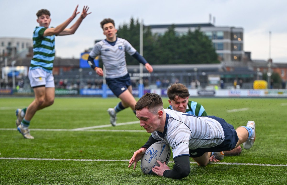 Leinster Domestic tweet media