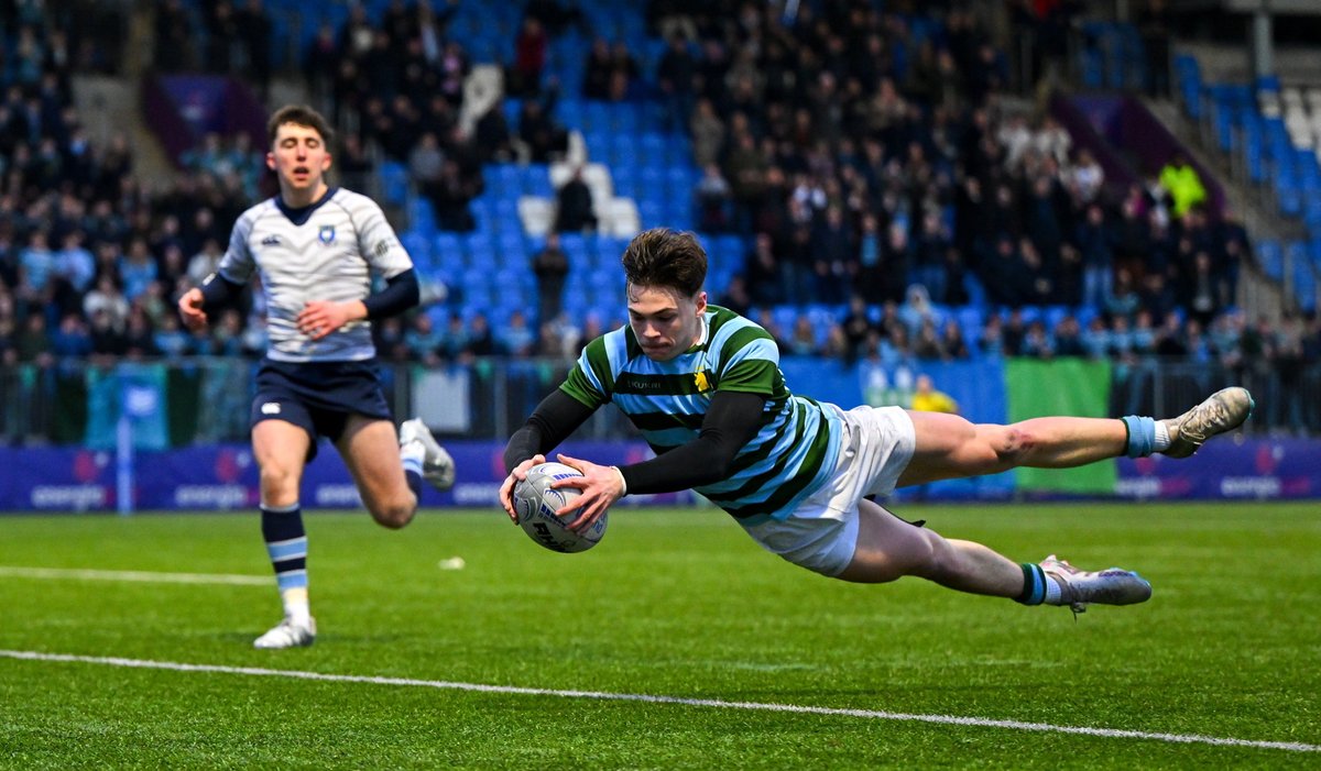 Leinster Domestic tweet media