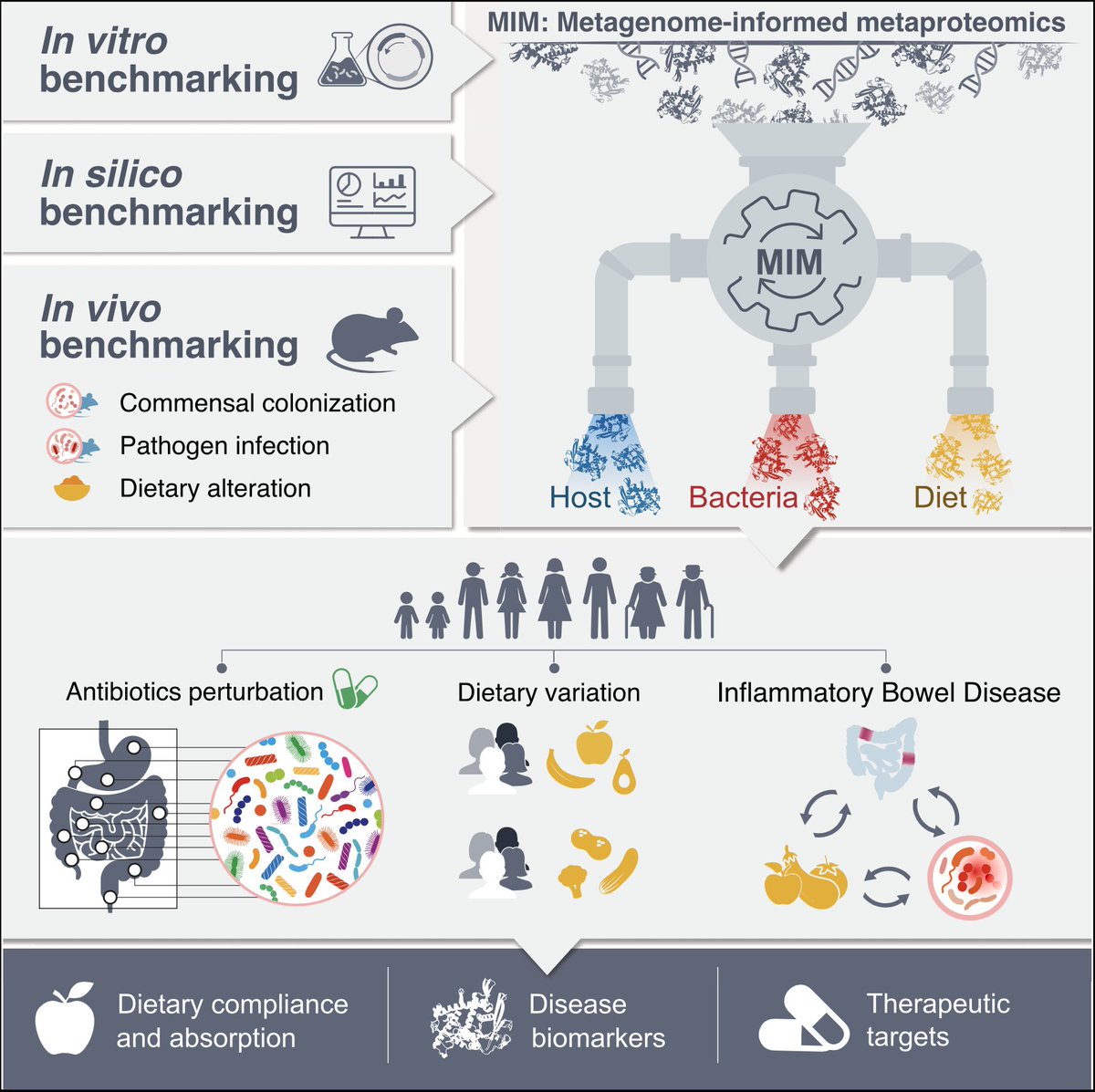 Proud to share this result of our collaboration between <a href="/DKFZ/">DKFZ</a> and <a href="/WeizmannScience/">Weizmann Institute</a> <a href="/Elinav_Lab/">ElinavLab</a> on the Metagenome-informed Metaproteomics (MIM) methodology for functional decoding of host-microbiome dietary contributions to human physiology @cellcellpress ➡️doi.org/10.1016/j.cell…
