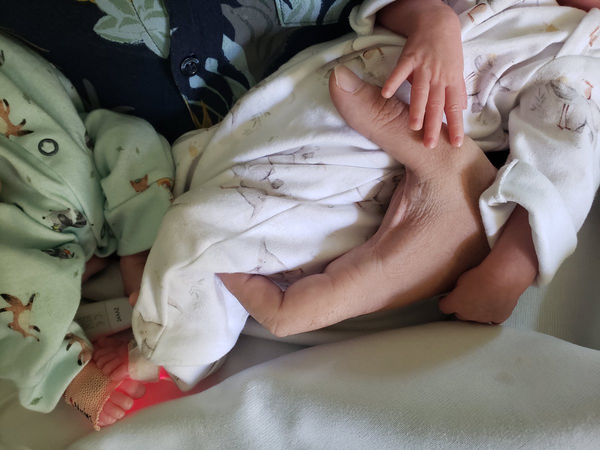 un 20 de enero de hace tres años murió mi abuela. ahora otra vez lo paso en un hospital, pero por la razón opuesta: hace diez días nacieron mis mellizos. algo se entrelaza y algo se multiplica.