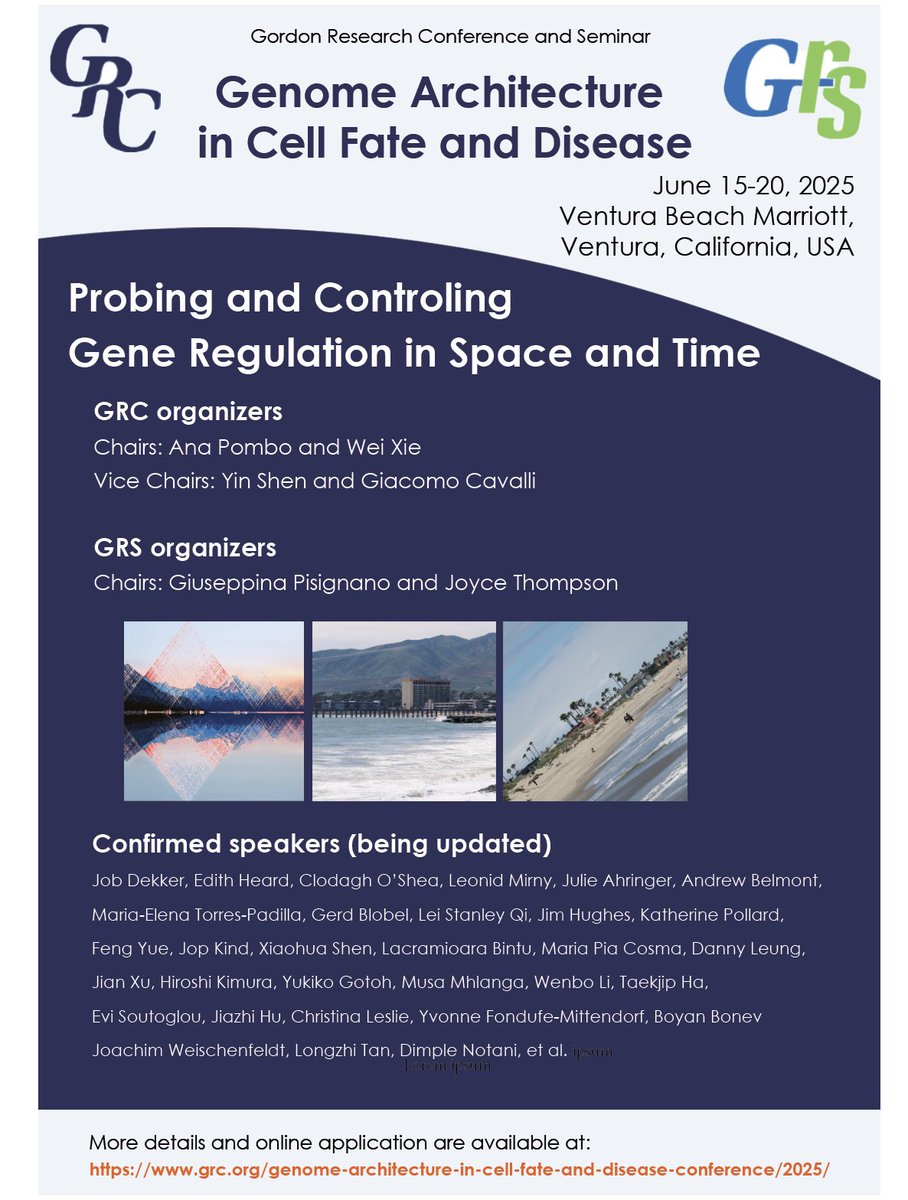 Chromatin folks: don't miss GRC/GRS Genome Architecture in Cell Fate and Disease, June 15-20 2025 Ventura, CA. Registration deadline: Mar 18, 2025. grc.org/genome-archite…