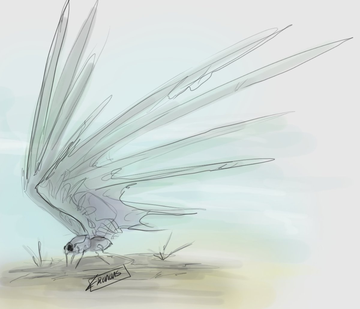 _Eronous's tweet photo. Fly? https://t.co/DLrqDqrMYB