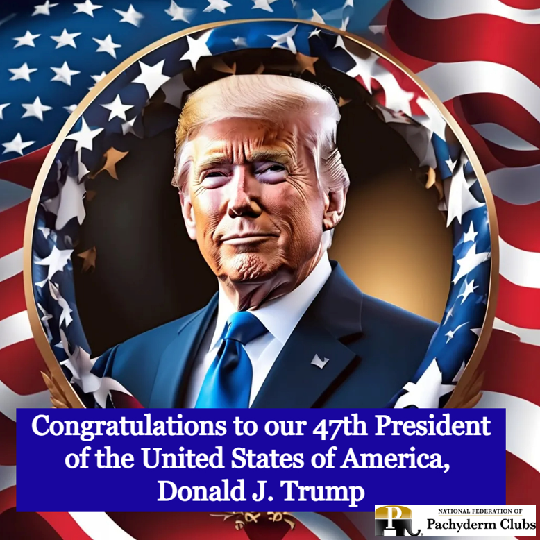 National Pachyderms (@nationalpachys) on Twitter photo 