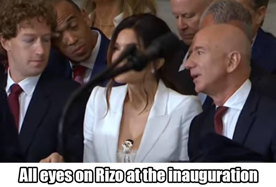 Caught Zuck in 4k