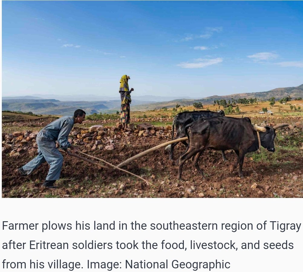 KifiMak's tweet photo. The war has not only displaced people, leaving many families homeless across the country, but it has also severely affected farming, which is a crucial economic sector for the region.
#UpholdPretoriaAgreement 
@UN @UNGeneva @eu_eeas @FAO @hrw @EUAgri @MikeHammerUSA https://t.co/42b7wOiVY1