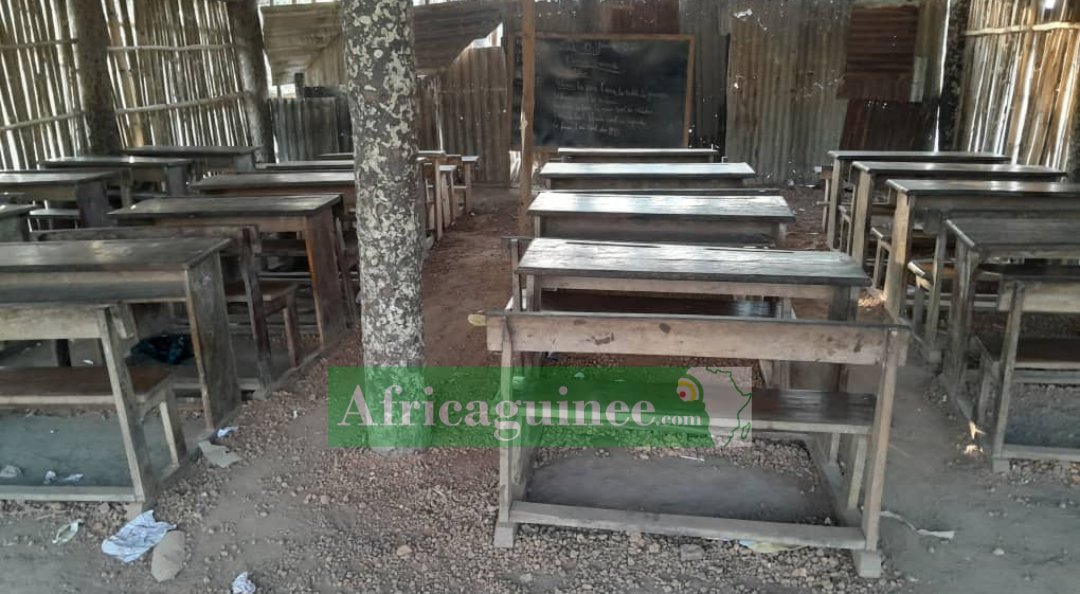 🚨Les images sont saisissantes certes, mais ne vous trompez surtout pas. Il ne s’agit pas d’un « enclos », mais d’une école où des enfants censés assurer la relève de demain, viennent apprendre à lire et à compter. Nous sommes à Kitéren, une bourgade située...✍🏼.