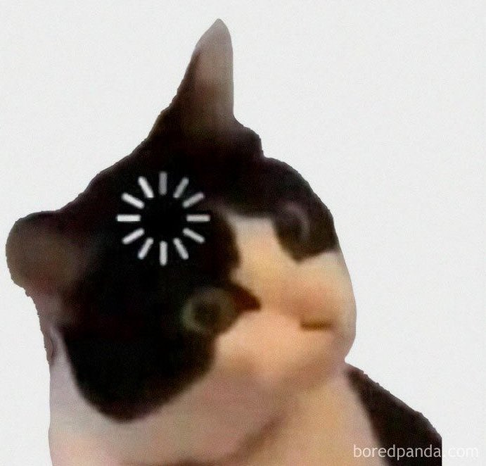 אני כששולחן 14 השאיר 10% אחרי שביקשתי מהמטבח במיוחד לעשות את התוספות לפוקצ׳ה רק בצד אחד: