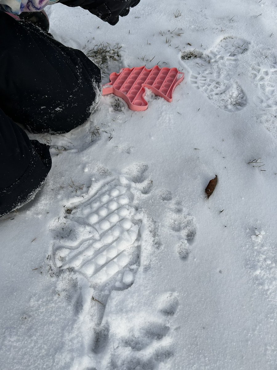 MsJiJionline's tweet image. Have you ever made pop it in the snow?!! 

#OutdoorPlay om P.A day at #PLASP