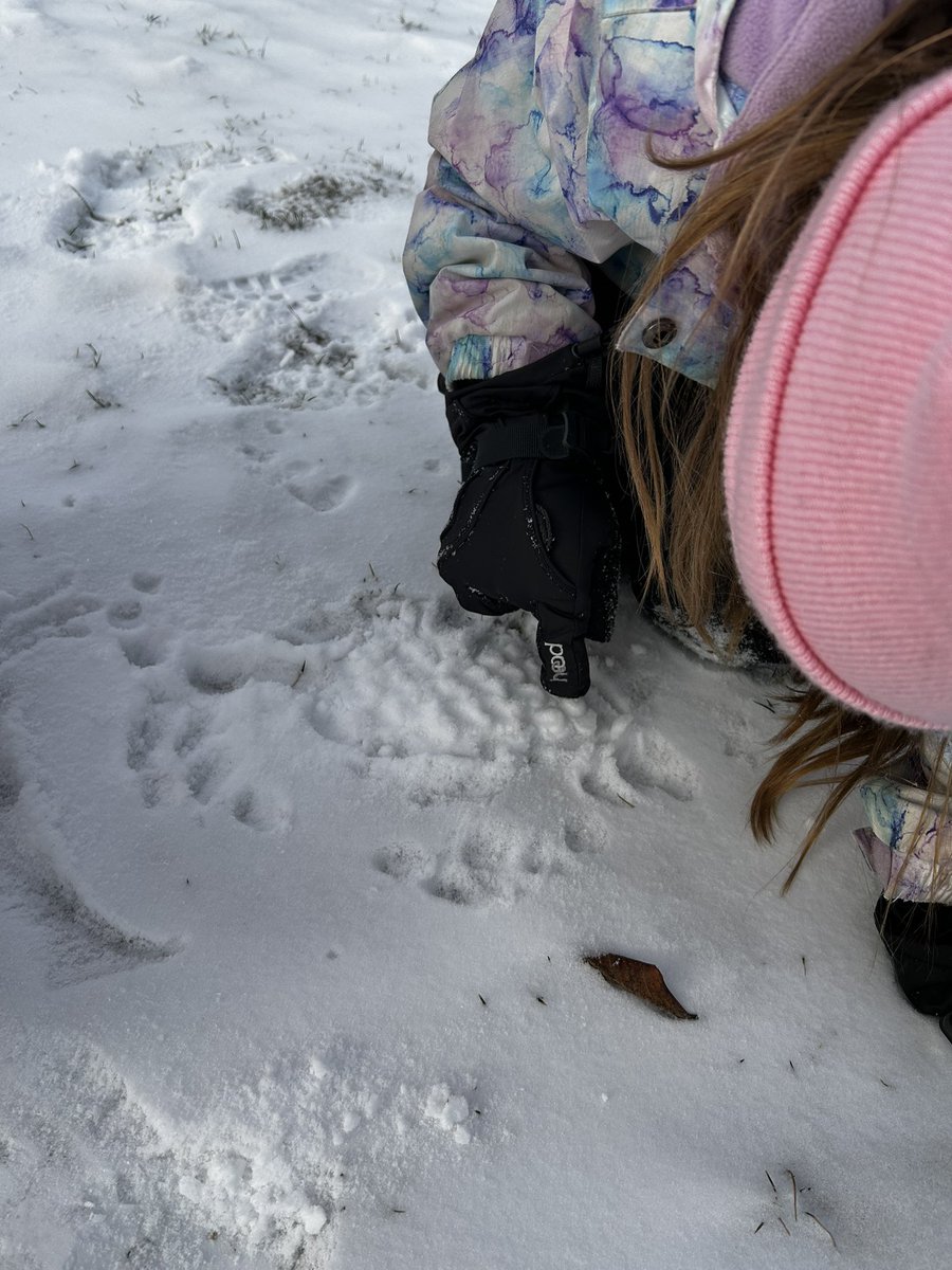 MsJiJionline's tweet image. Have you ever made pop it in the snow?!! 

#OutdoorPlay om P.A day at #PLASP