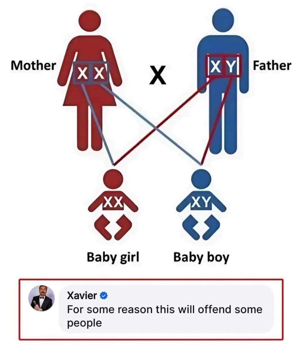 “It will be the official policy of the United States to recognize only two genders: male and female.”

— Donald Trump