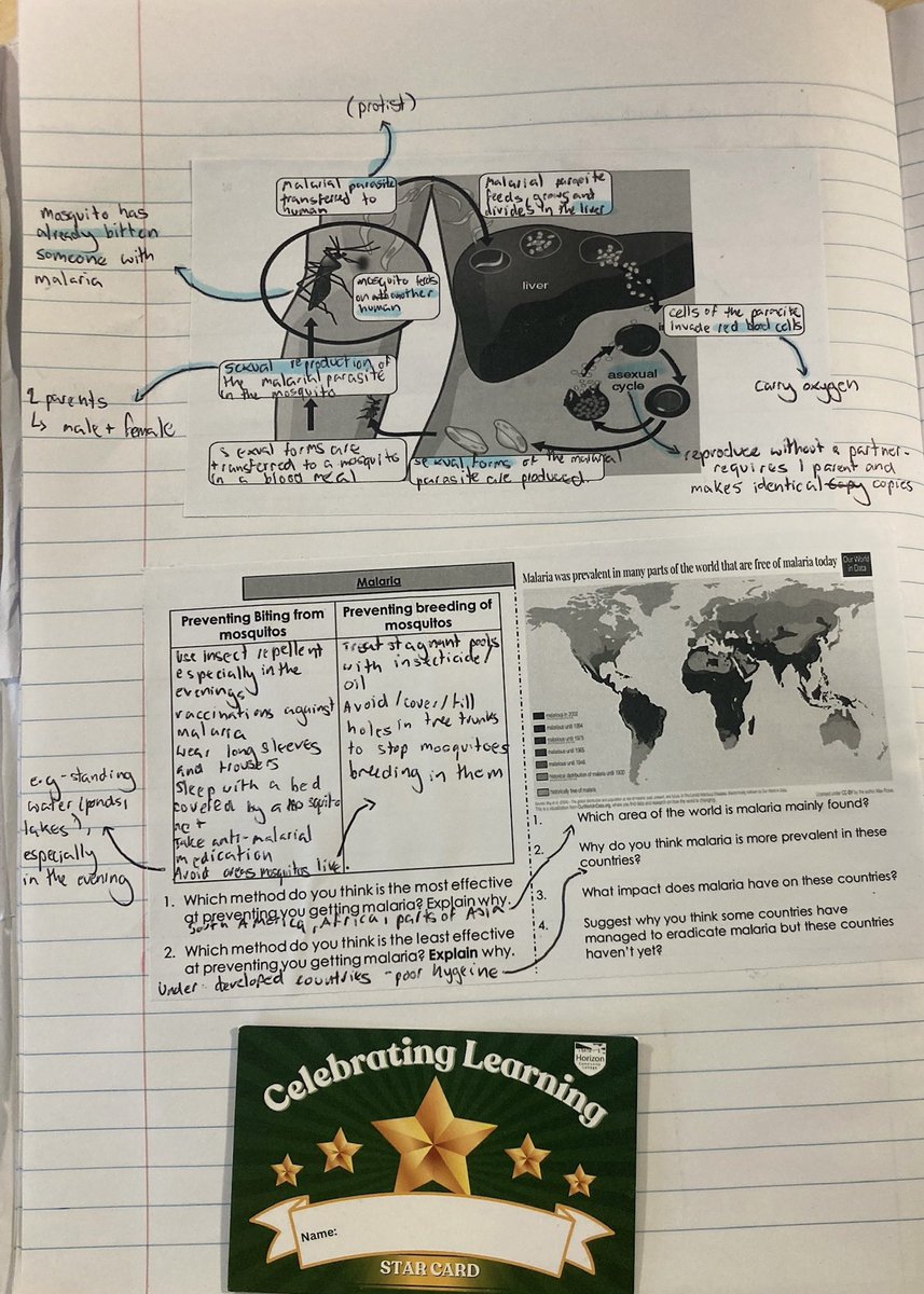 horizon_cc's tweet image. The Year 10 team have enjoyed being in and around lessons today looking for Star Card winners. Have a look at these excellent annotations in Y10 Science. #celebratinglearning