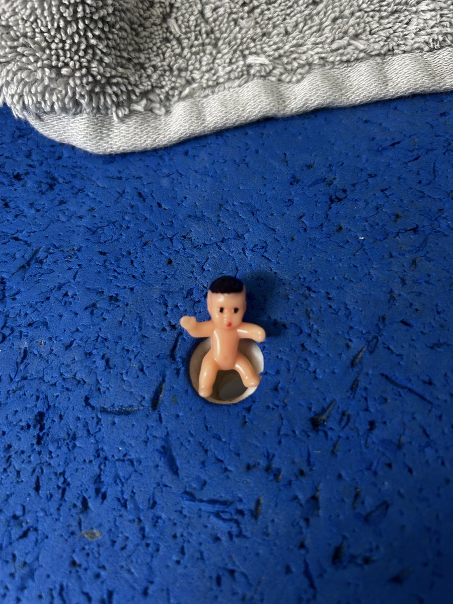 Found an invasive species this morning, brb calling the exterminator