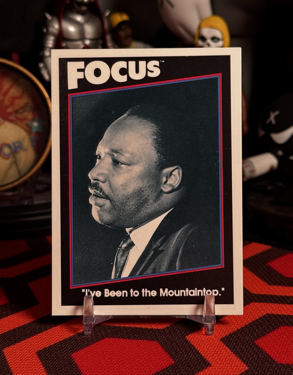 Bone Collector 🦴 tweet media