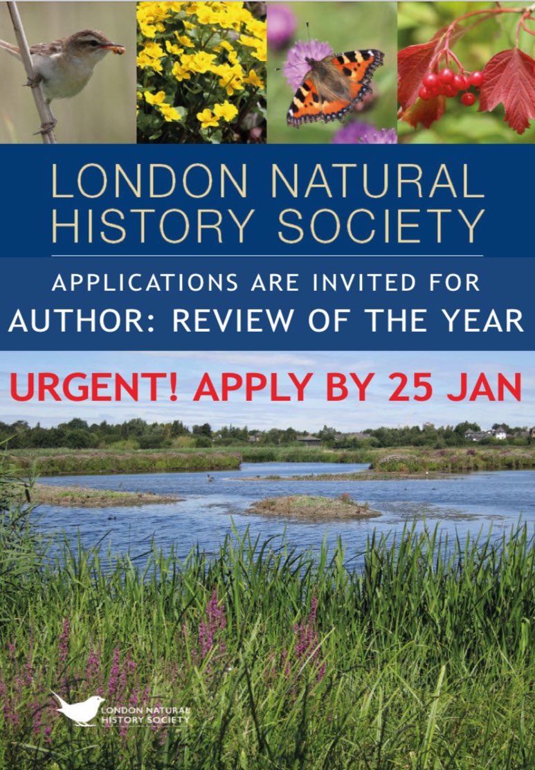 London Bird Club (@londonbirdclub) on Twitter photo The London Bird Club is urgently looking for someone to write the Review of the Year in the London Bird Report. This is a six-page section (about 3,500 words) Apply to secretary@lnhs.org.uk. More details on lnhs.org.uk/index.php/abou… #londonbirds The London Bird Club is urgently looking for someone to write the Review of the Year in the London Bird Report. This is a six-page section (about 3,500 words) Apply to secretary@lnhs.org.uk. More details on lnhs.org.uk/index.php/abou… #londonbirds