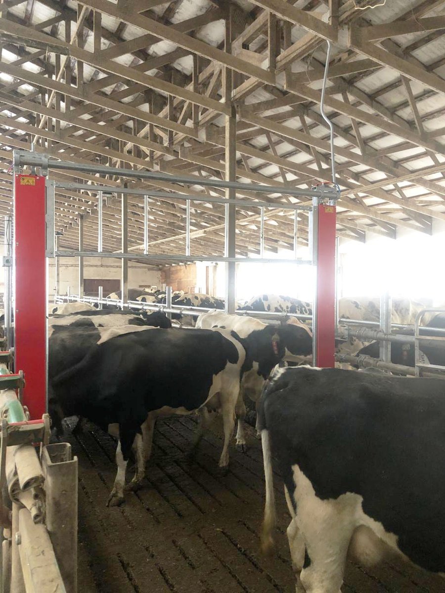 GRRobotics's tweet photo. A #Boetech Gate has been installed at Kappers Field Farms! Now they will be able to separate any cows to get milked while being held in this waiting area. Once the last cow is milked the gate will automatically lift &amp; the rest of the herd will have access to the robot again. https://t.co/pHgaUIVzQL