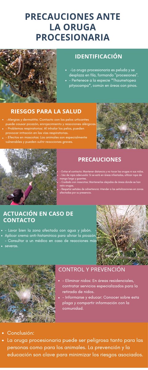 AVPC_proteccioncivilcervello (@avpcproteccion1) on Twitter photo 