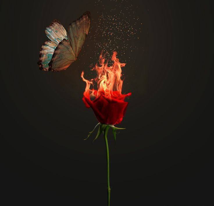 Devası olmayan şeyleri unutmak gerekir...