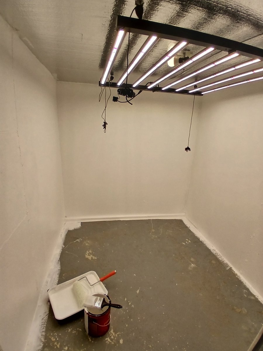 NativeGardens01's tweet photo. Grow room is coming along nicely
Gotta go get some more paint https://t.co/teBZmGjK03
