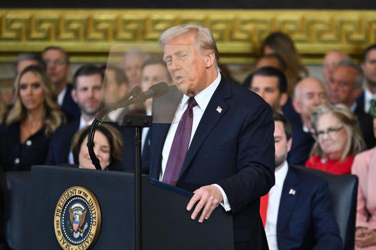 Il Politico Web tweet media