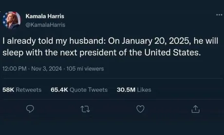 iowahawkblog's tweet image. I'm sorry if this awkward for anybody, but as an official Executive Branch Declaration this is now the 29th Amendment and the Law of the Land