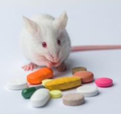 Excited to announce a new edition of the grad course on animal models for psychiatric disorders with <a href="/AmaichaD/">Amaicha Depino</a>  and <a href="/noeliaweisstaub/">Noelia Weisstaub💚</a> ! 
Financial aid scholarships available through <a href="/IBROorg/">IBRO - International Brain Research Organization</a>.  Registration: January 16 to March 25, 2025: forms.gle/MVyEQFYWzyouW3….  More info👇