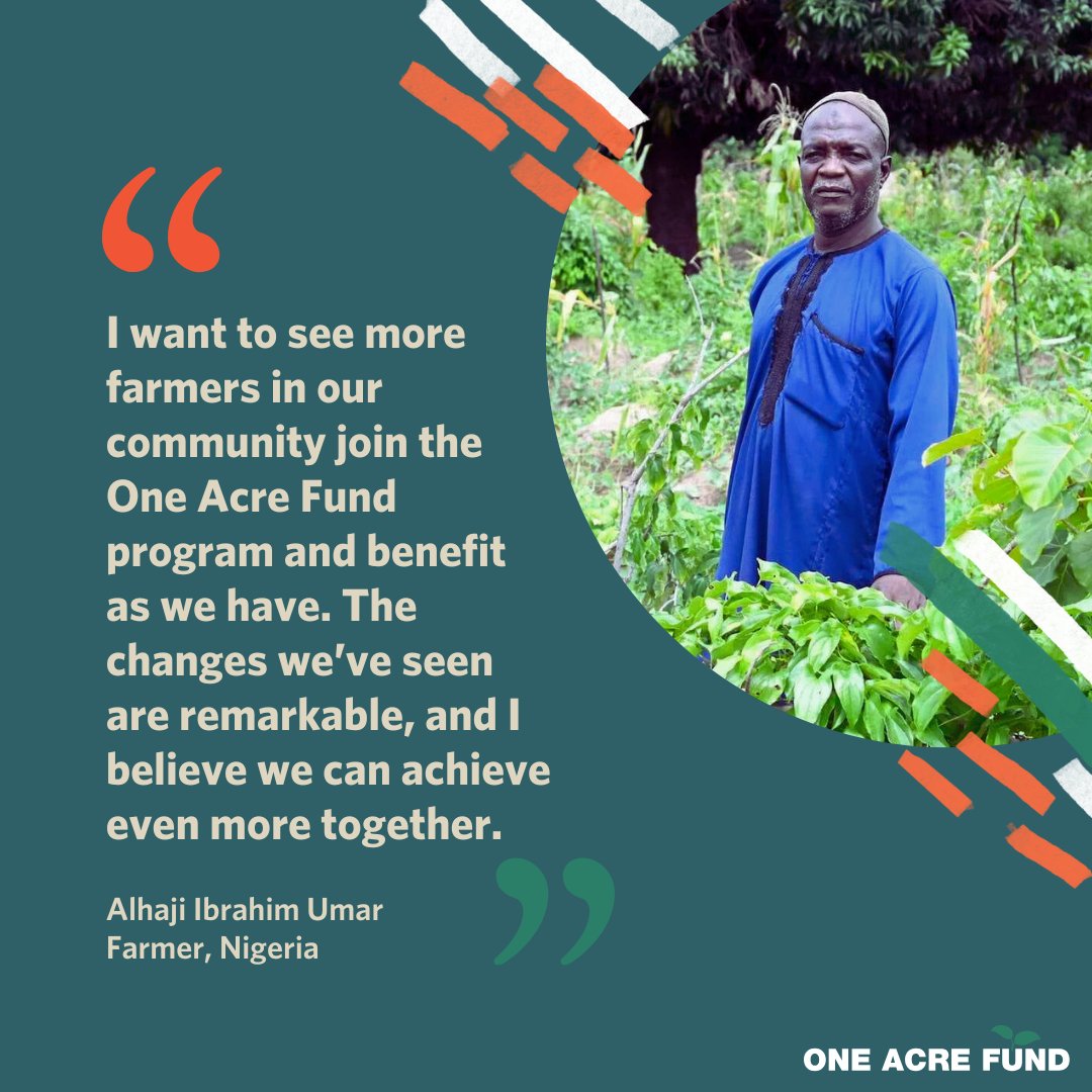 OneAcreFund's tweet image. Five years ago, farming in Pyata, Nigeria, faced low yields, pests, and limited resources. 🌾

After Alhaji Ibrahim Umar joined our program, his family achieved #FoodSecurity while helping their community to thrive. 🤝

Learn how: oneacrefund.org/articles/it-ta…

#ItTakesAVillage