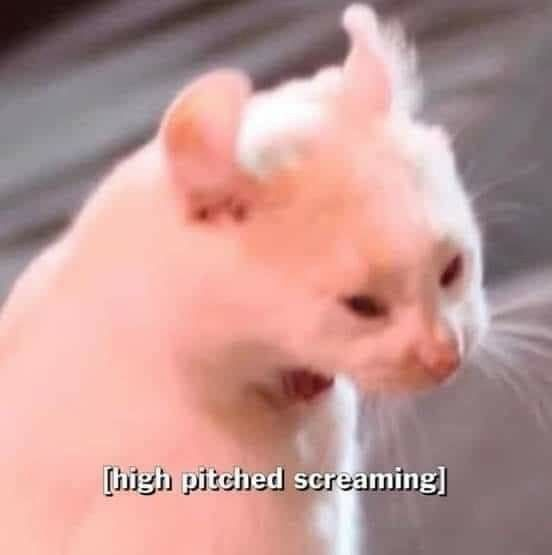 [@ the world rn]