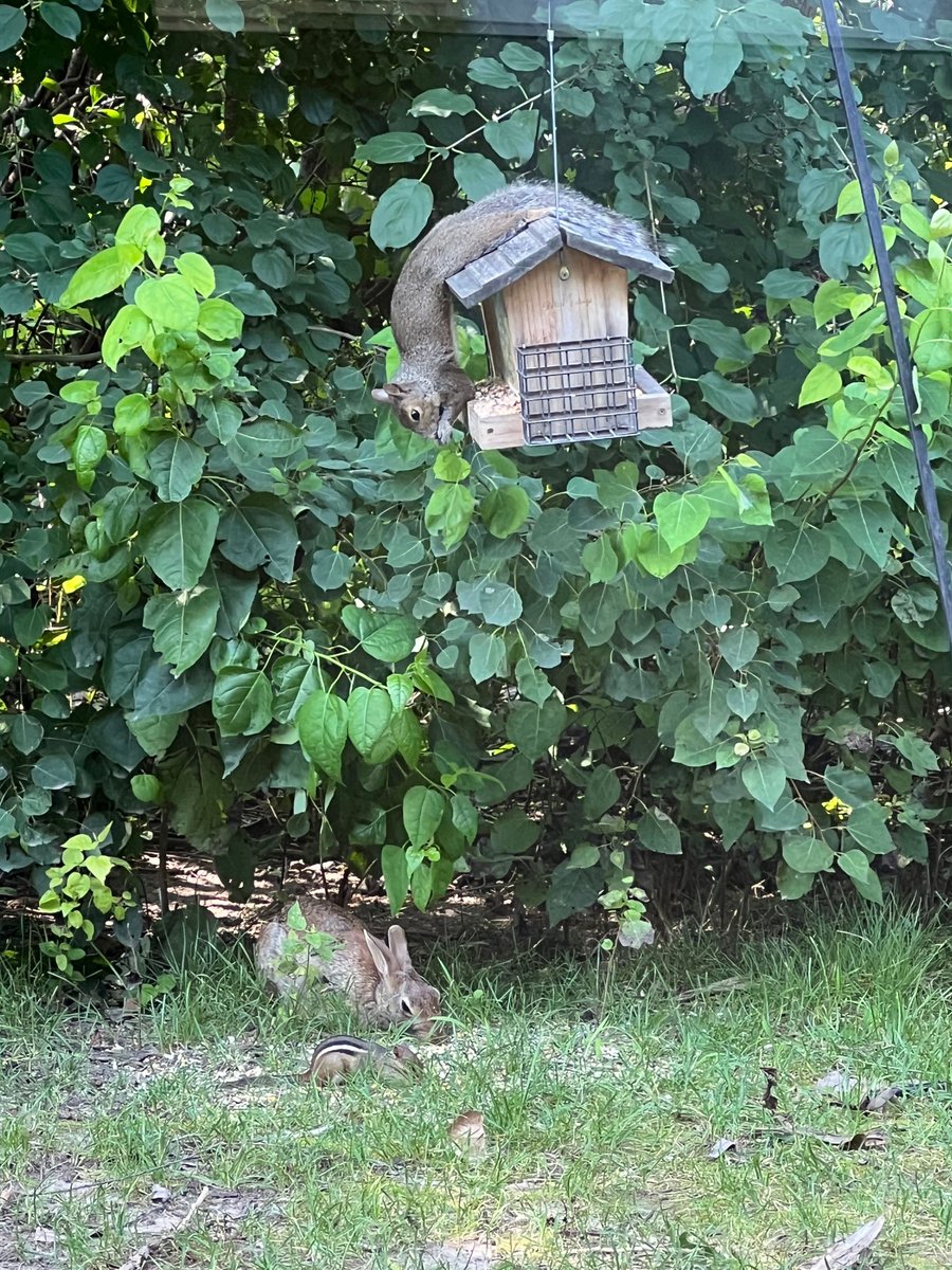 If you want it bad enough, you’ll find a way!