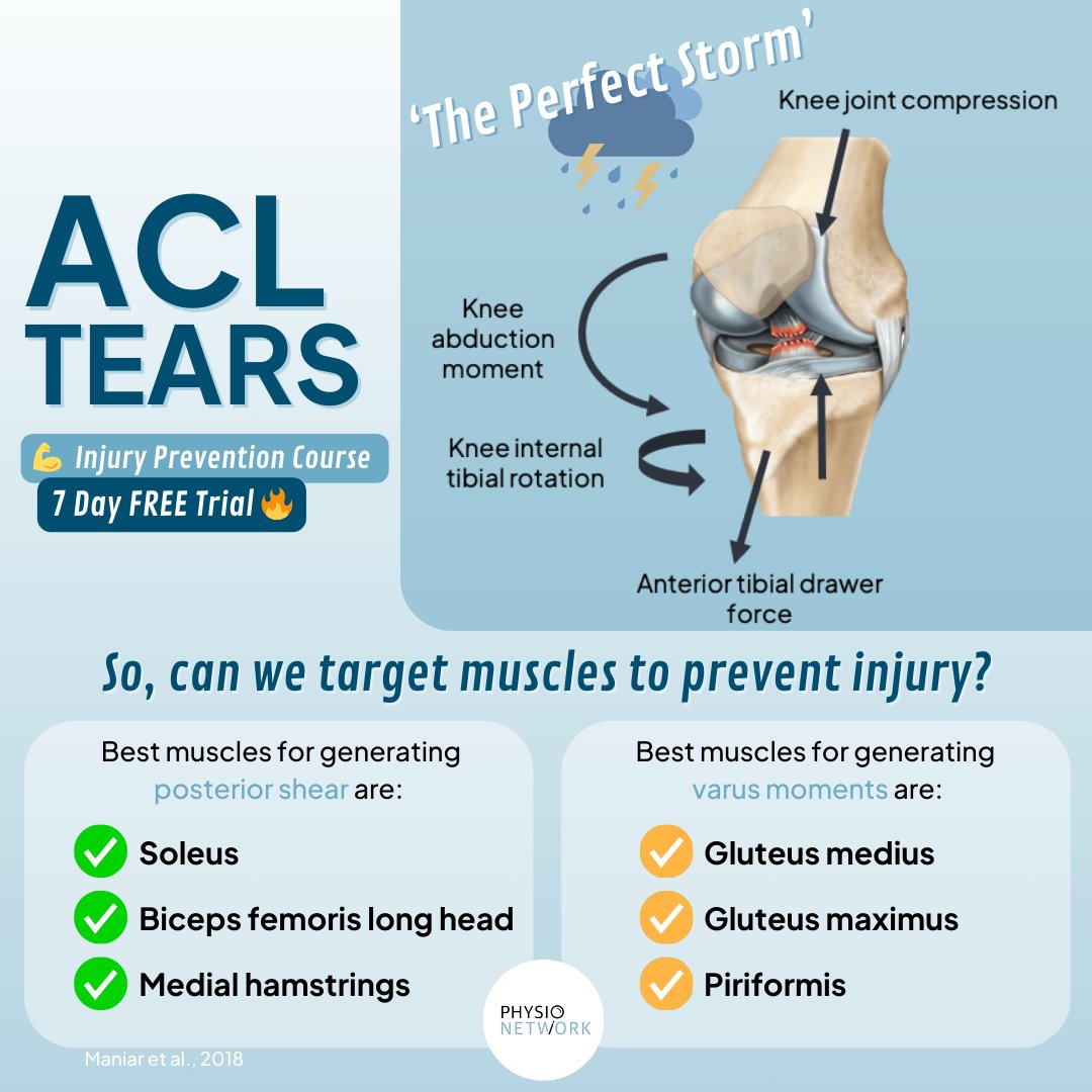 Physio Network (@physionetwork) on Twitter photo 🦵 Can targeting specific muscles really help prevent ACL tears?
🤔 While promising, it's no perfect solution—ACL injury prevention is complex!
🍿 Learn ACL injury risk and prevention in our new Masterclass with Dr. <a href="/MBourne5/">Matt Bourne</a> and <a href="/TylerCollings3/">Tyler Collings</a>
🔗 physio.network/ACLRisk 🦵 Can targeting specific muscles really help prevent ACL tears?
🤔 While promising, it's no perfect solution—ACL injury prevention is complex!
🍿 Learn ACL injury risk and prevention in our new Masterclass with Dr. <a href="/MBourne5/">Matt Bourne</a> and <a href="/TylerCollings3/">Tyler Collings</a>
🔗 physio.network/ACLRisk
