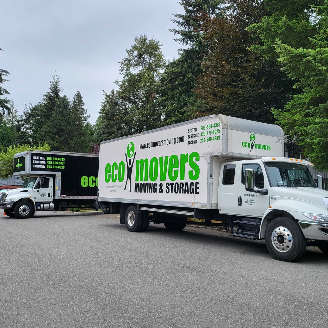 eco_movers's tweet image. ✨ Your Local Moving Experts! 🏡
Eco Movers is your trusted partner for local moves. Let us handle the logistics while you settle into your new space. 🚛 Contact us today: ecomovers.com
#LocalMovingExperts #EcoMoversFamily #MovingMadeSimple