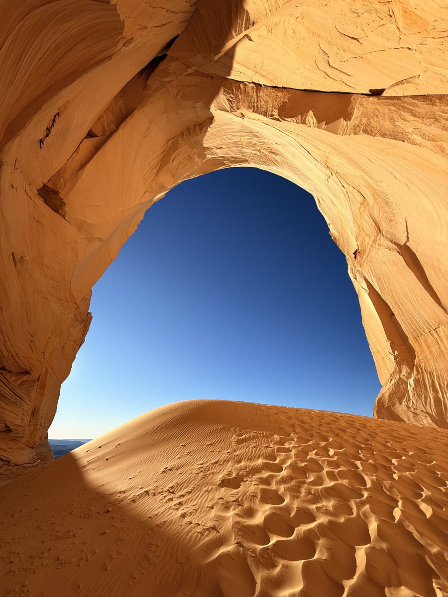 It’s insane how good phone cameras are getting 🤯 

#shotoniphone