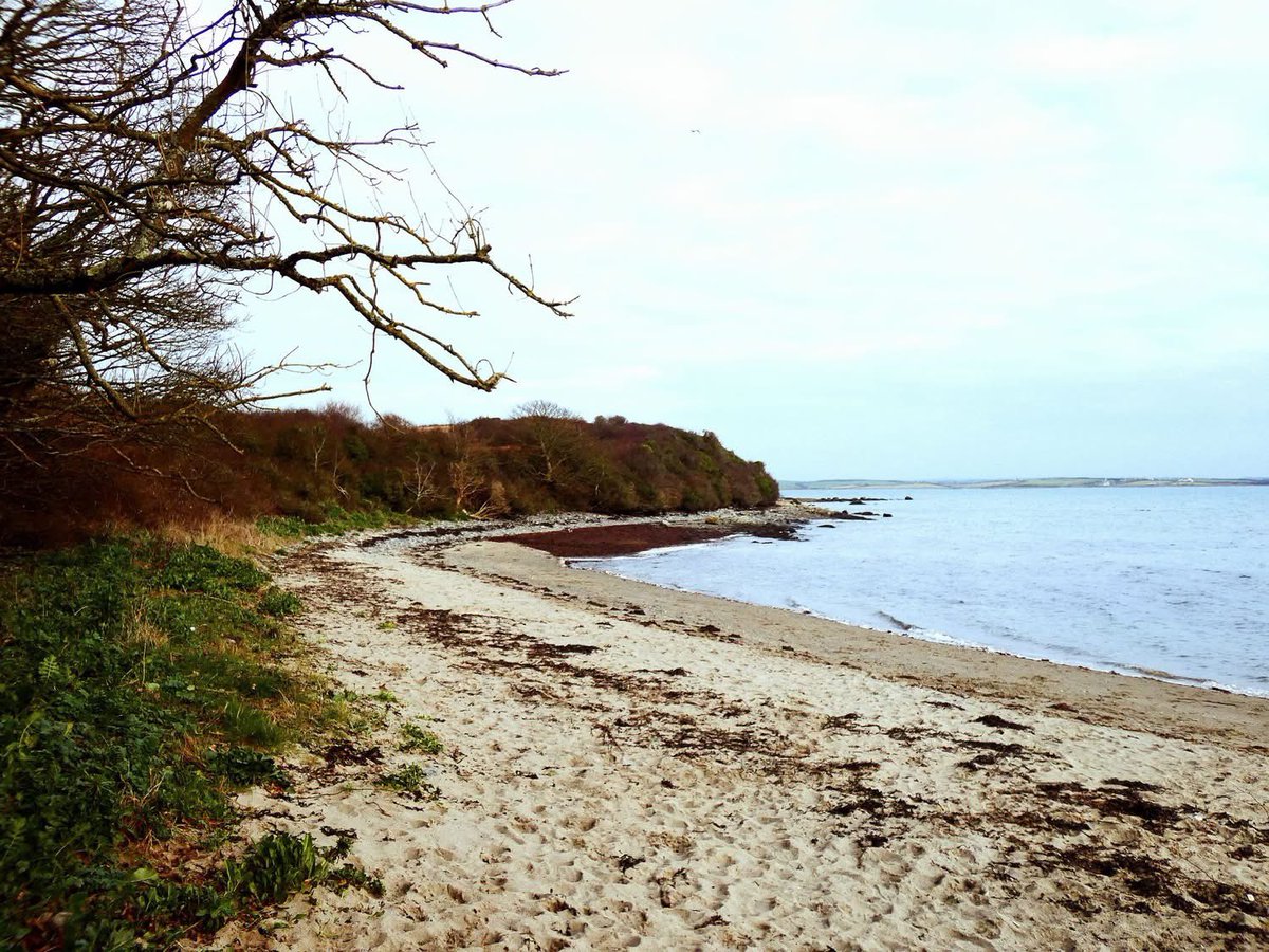 ACHUB PENRHOS / SAVE PENRHOS NATURE RESERVE 🍃💚🍃 tweet media