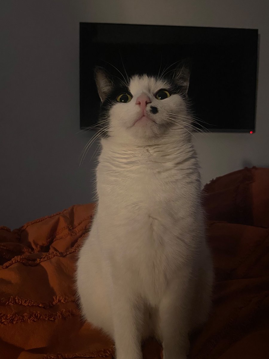 FuckOffBlondie's tweet photo. What a babe. https://t.co/nhbhATE5TY