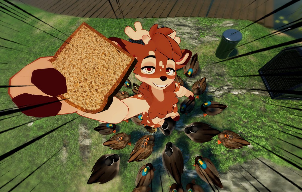 mayodeeeeeer's tweet photo. 🦌🍞🦆🦆🪿🦆 https://t.co/POC1YbxlHh