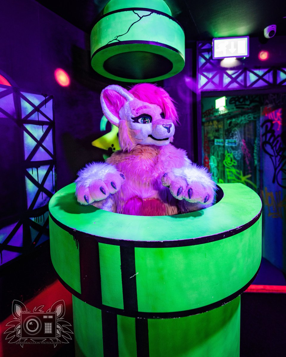 ♡ Nekko ♡ | 🏳️⚧️ (@justanekko) on Twitter photo "I think I took a wrong turn somewhere..."
🌆: <a href="/FursNottingham/">NottsFurs</a>
📸: <a href="/BrickRaccoon/">Your bones, Give them to me</a>
✂️: <a href="/JustANekko/">♡ Nekko ♡ -ただの猫-</a>
#furry #furryfandom #furrycommunity #fursuit #fursuiter "I think I took a wrong turn somewhere..."
🌆: <a href="/FursNottingham/">NottsFurs</a>
📸: <a href="/BrickRaccoon/">Your bones, Give them to me</a>
✂️: <a href="/JustANekko/">♡ Nekko ♡ -ただの猫-</a>
#furry #furryfandom #furrycommunity #fursuit #fursuiter