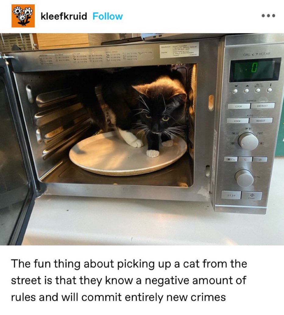 <a href="/damnitmadeline/">maddie, hot dog enthusiast</a> reminds me of this