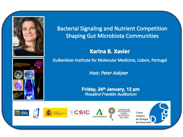 Centro Andaluz de Biología del Desarrollo (@cabd_upo_csic) on Twitter photo #CABDseminars
"Bacterial Signaling and Nutrient Competition Shaping Gut Microbiota Communities" by <a href="/KarinaXavierLab/">Karina B. Xavier</a>, <a href="/GIMM_Institute/">GIMM Foundation</a>
🗓️ January 24th
⏰ 12 pm
📍Rosalind Franklin auditorium at CABD
Hosted by @PAskjaer #CABDseminars
"Bacterial Signaling and Nutrient Competition Shaping Gut Microbiota Communities" by <a href="/KarinaXavierLab/">Karina B. Xavier</a>, <a href="/GIMM_Institute/">GIMM Foundation</a>
🗓️ January 24th
⏰ 12 pm
📍Rosalind Franklin auditorium at CABD
Hosted by @PAskjaer