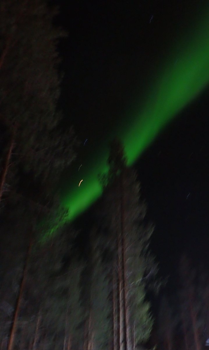 MarjaKronstrom's tweet image. Olin eilen iltatoimilla ja tämmönen hyökkäsi kimppuun. Ei tullut toimintoja meikäkoiralta.