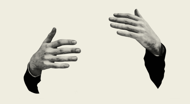 TheCinesthetic's tweet photo. Yorgos Lanthimos’s The Lobster, 2015 https://t.co/d0yLVrvCQe