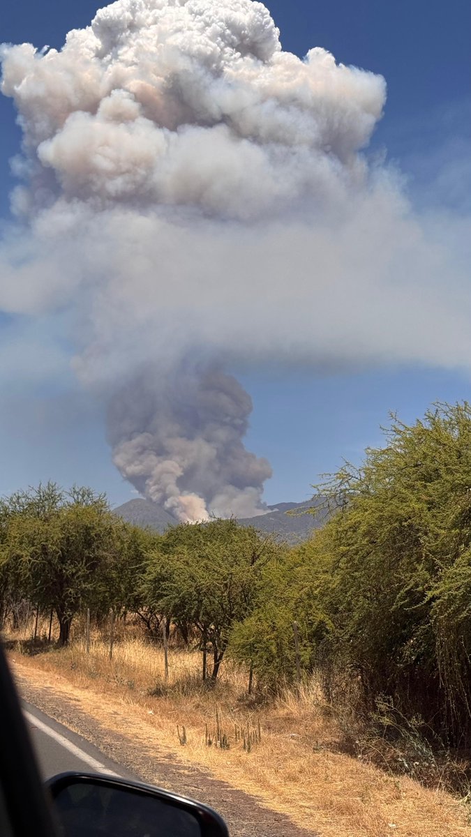 INF0SCHILE's tweet image. ⚠️#Pelequen 🔥#I.F Sector Los Maquis.