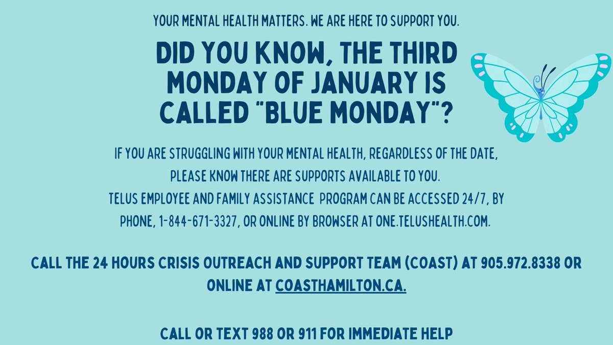 HDSB Wellness for Staff tweet media