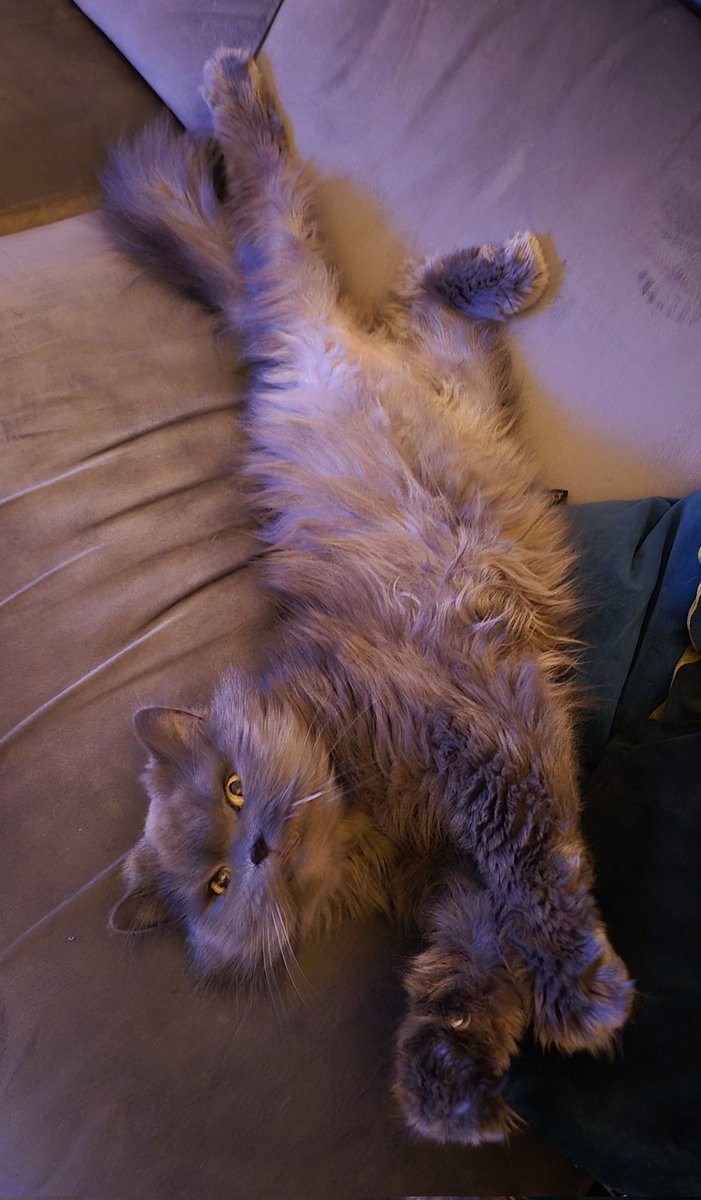 Ich wünsche euch einen wunderschönen Abend,  der Montag ist geschafft.  😊🌜🍀