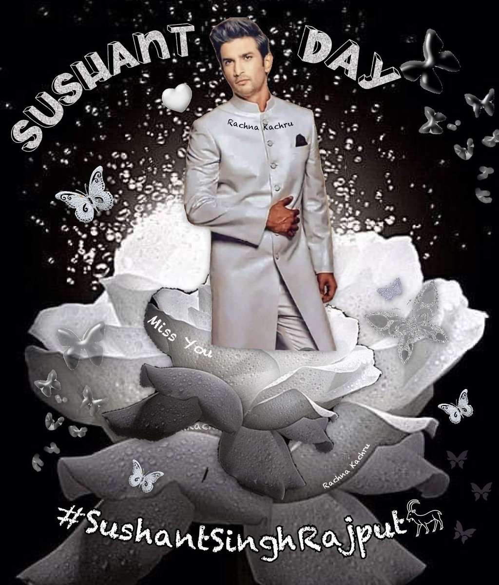 KachruRachna's tweet image. To Beloved #SushantSinghRajput𓃵 My Brightest Star in Heaven,Your Memory Brings Happiness &amp;amp; Tears,but Today,it Brings Love and Celebration.
Happy Heavenly Birthday Our Rarest of Rare GEM💎💫🦋🫂
#SushantMoon2025

Sushant Day  ❤️

@IExist__Still @keesain99 @Binapanchal2501 @DSHBC3