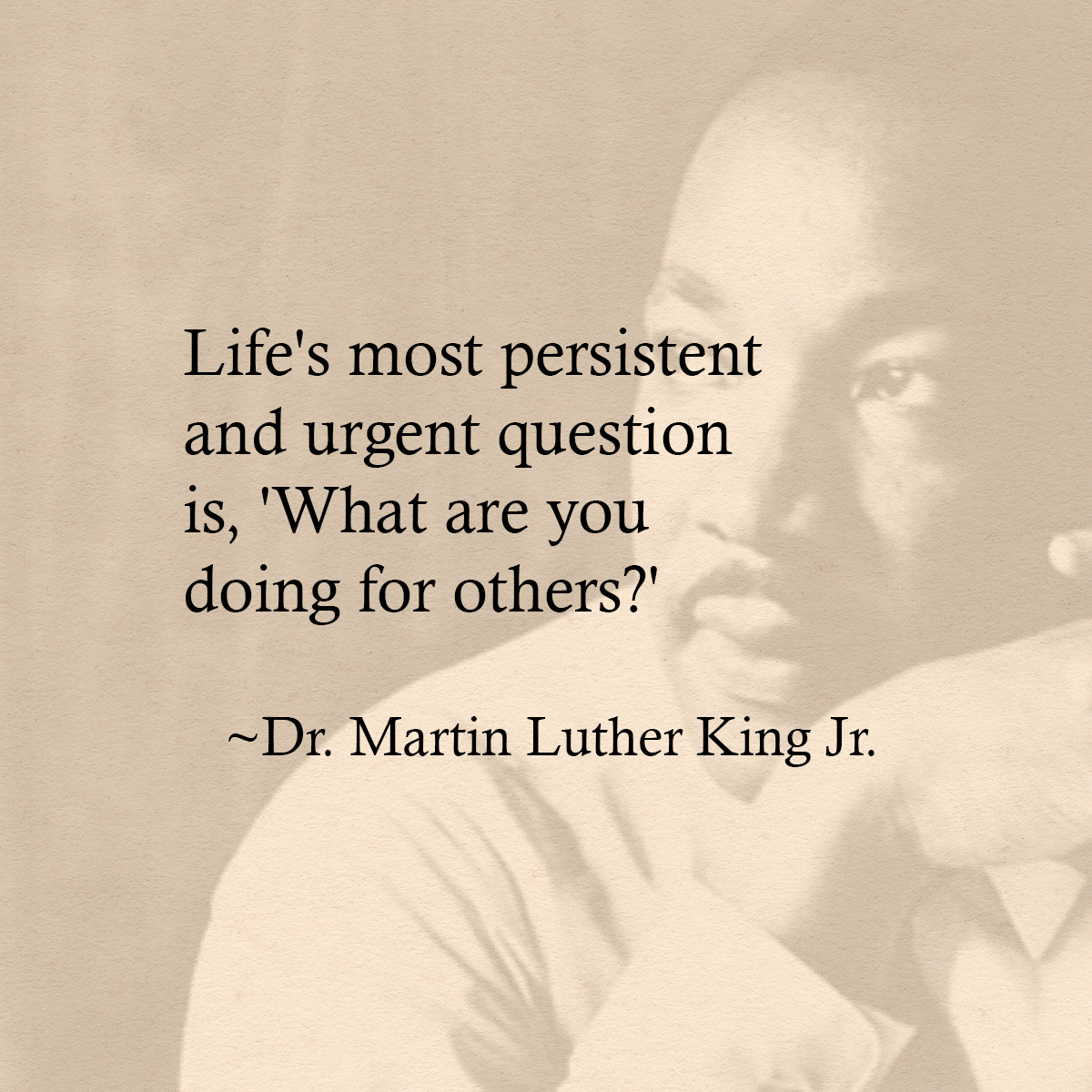Honoring the legacy of Martin Luther King Jr. #mlk #mlkday