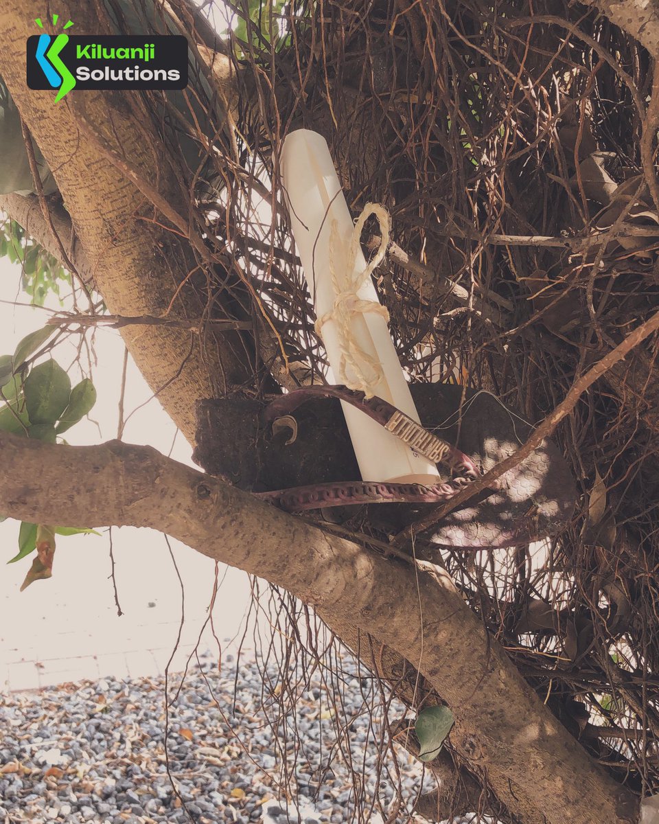 IsmaelClev25589's tweet image. Team:
Gilberto, Emanuel, Aldair, @Amarildomgl e Eu.

@MirantesTech   E parceiros que tornam o Code Point possível, e a todos os envolvidos na organização desse projeto transformador. 

#KiluanjiSolutions #CodePoint #CaçaAoTesouroMirantes