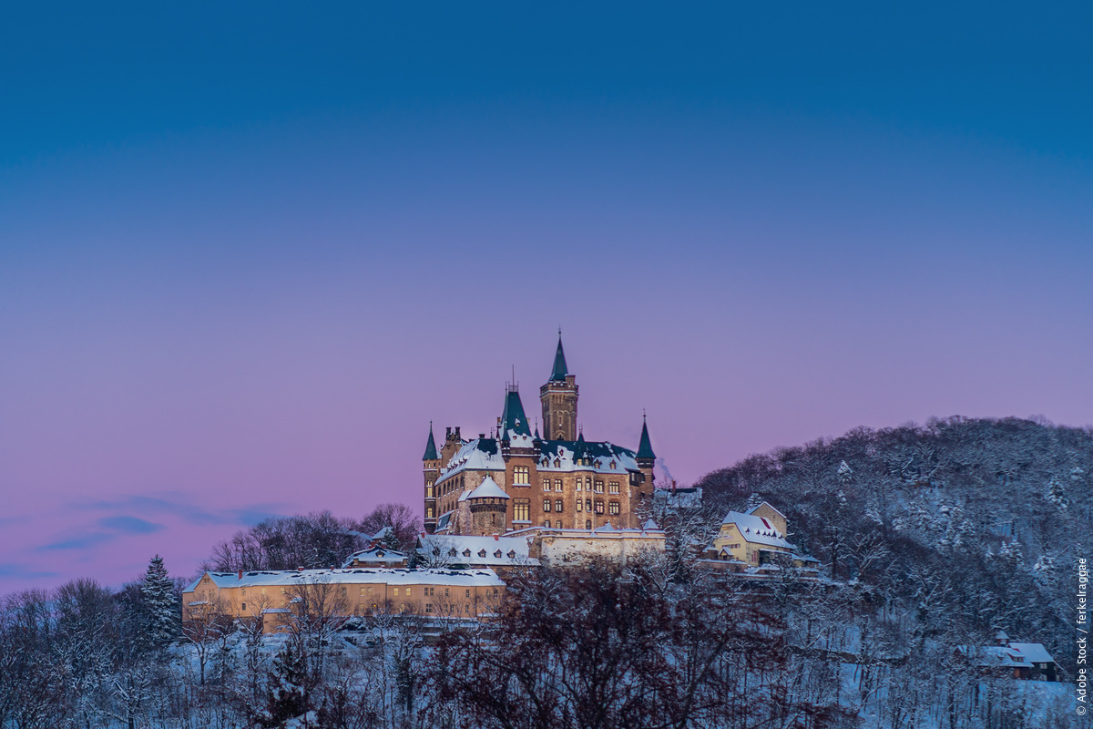 GermanyTourism's tweet photo. Do you have a favorite German castle? Let us know in the comments below! 🏰 https://t.co/uFysAGneyl